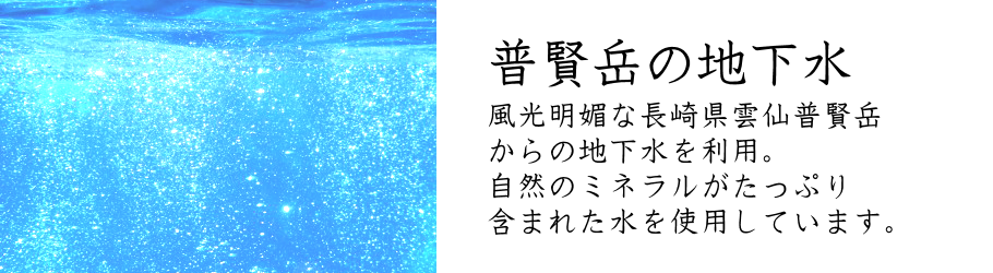 長崎ちゃんぽんは日本料理(株)